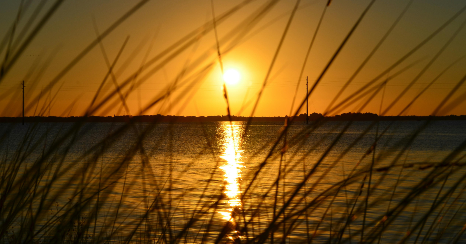 Professional drug intervention in Tampa, Florida with a trained interventionist guiding treatment entry and family support.