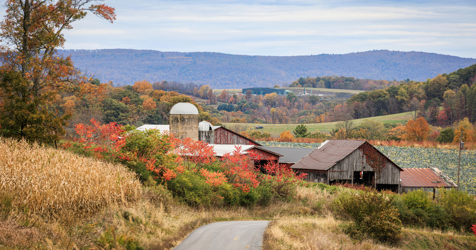Professional drug intervention in Pittsburgh, PA, helping a family support their loved one toward recovery and treatment.