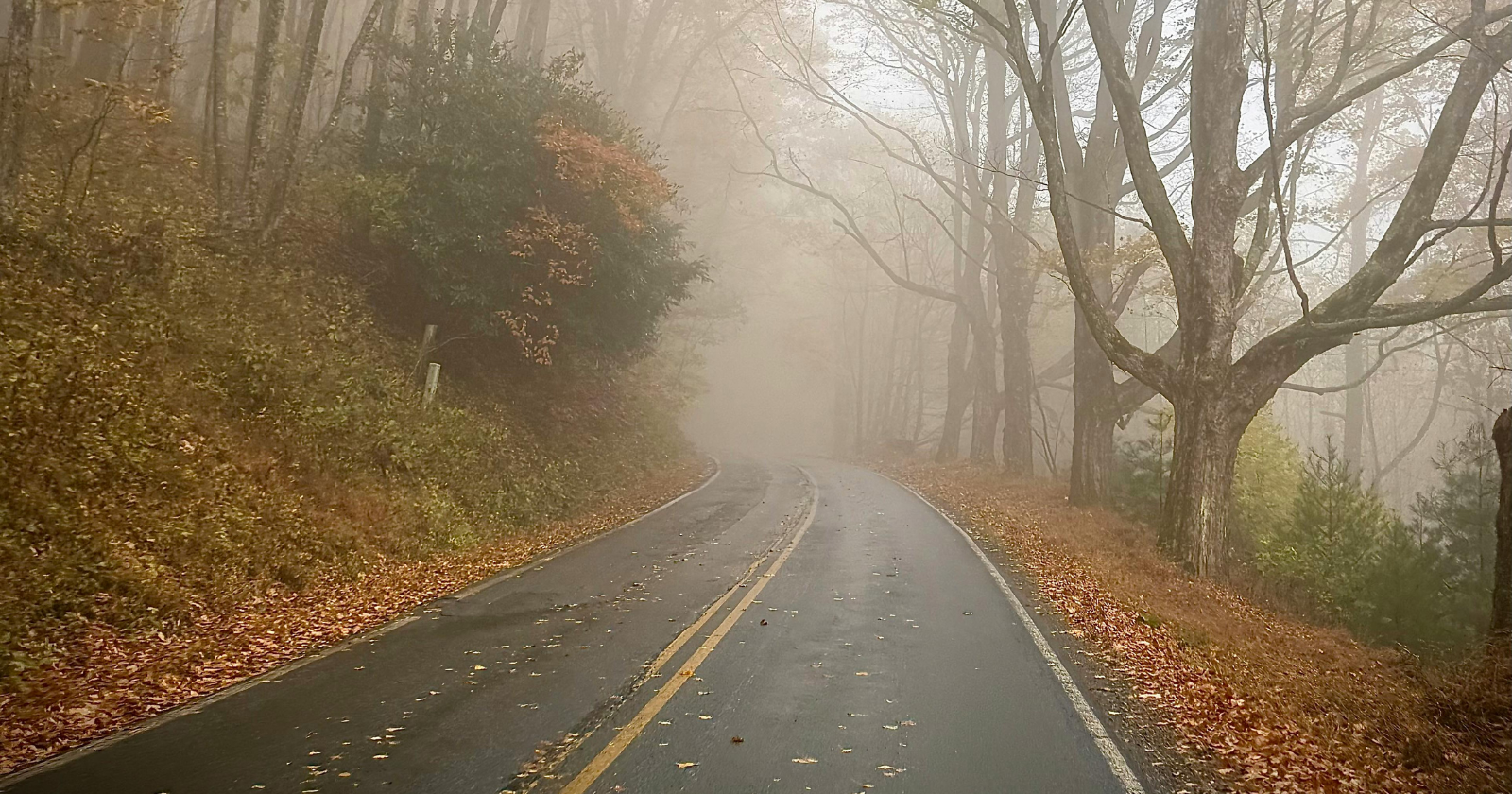 Professional drug intervention services in Raleigh, NC, helping families support a loved one toward recovery and connection to local treatment and community resources.