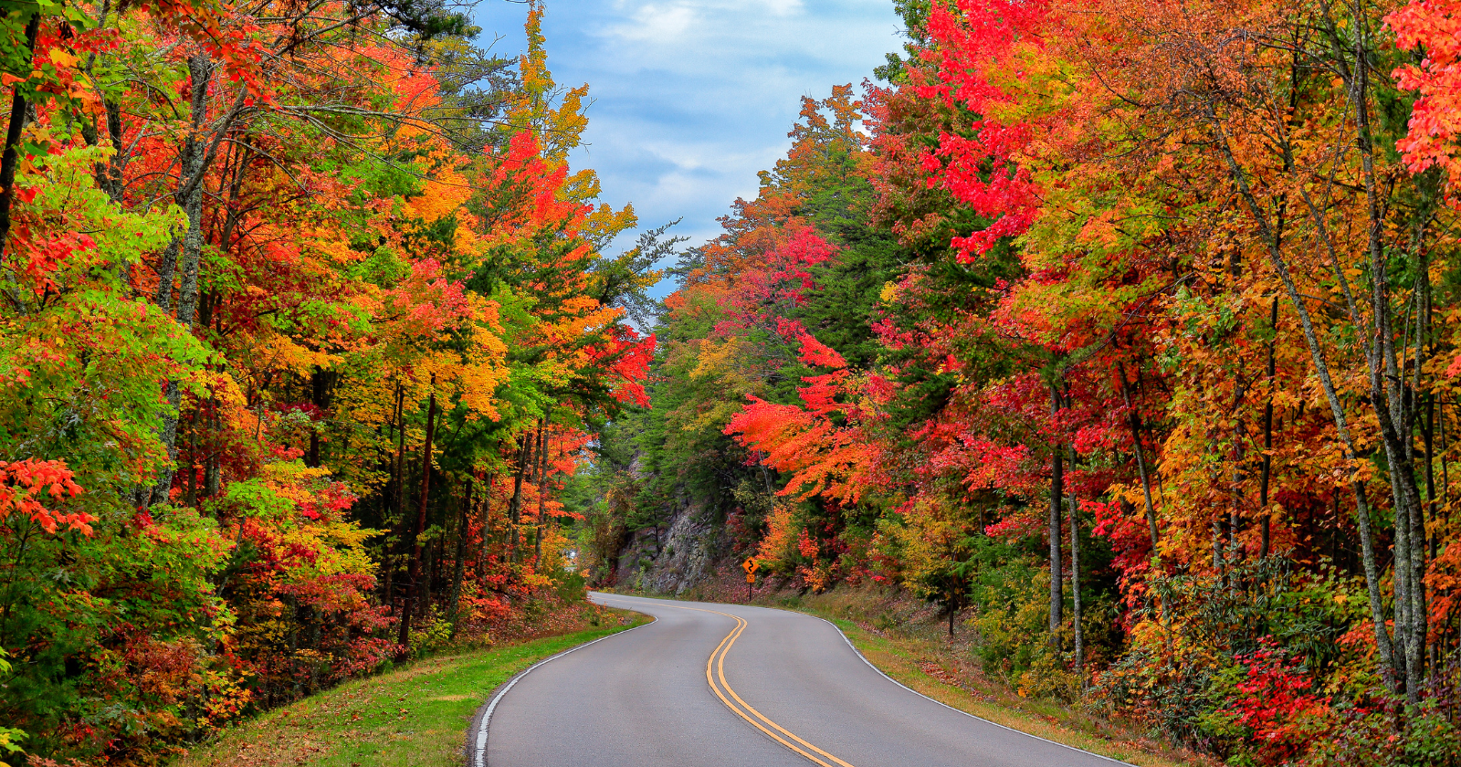 Professional drug intervention support in Memphis, TN, helping families plan and navigate the intervention process with clarity and structure.