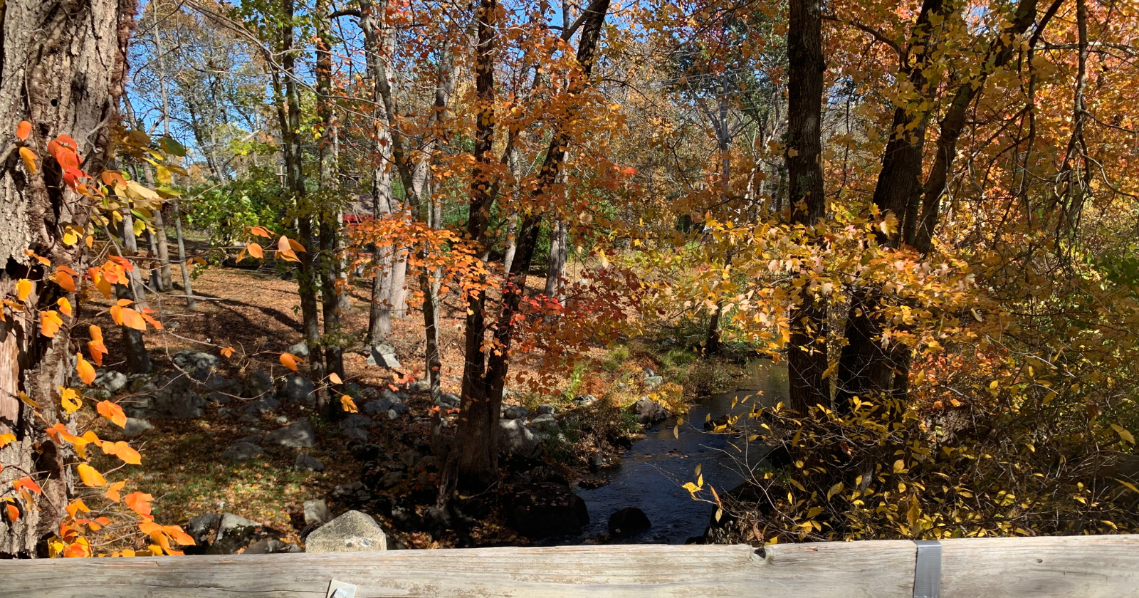 Professional drug intervention services in Boston, MA, helping families guide a loved one toward recovery and connect with local treatment and support resources.