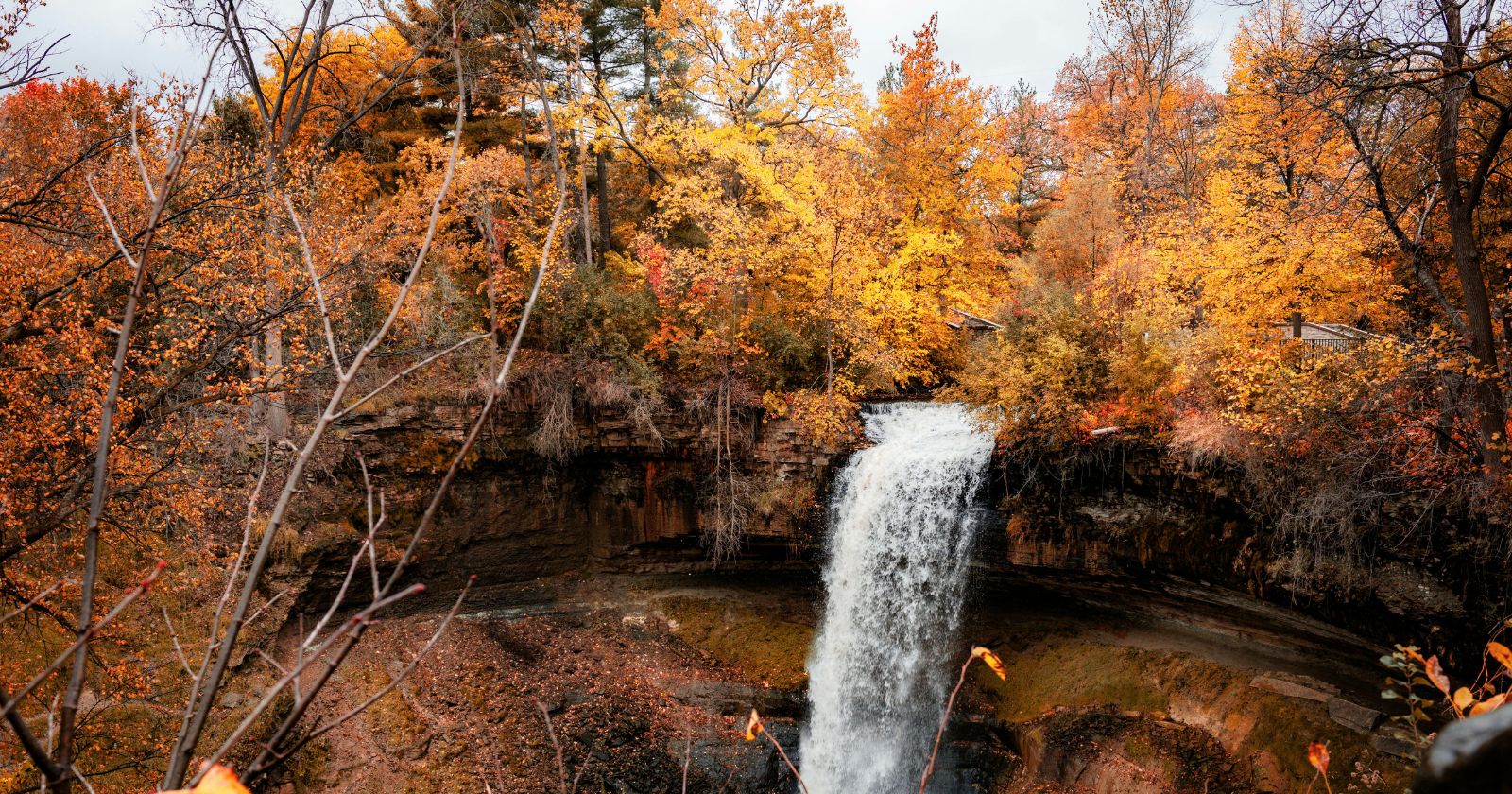 Minneapolis skyline representing drug intervention resources